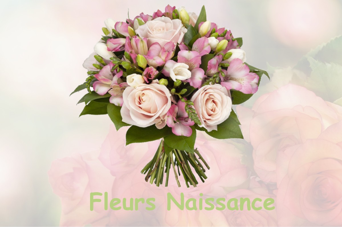 fleurs naissance FRESNOY-EN-CHAUSSEE